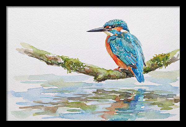 Kingfisher Perched By Water