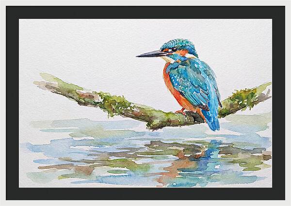 Kingfisher Perched By Water