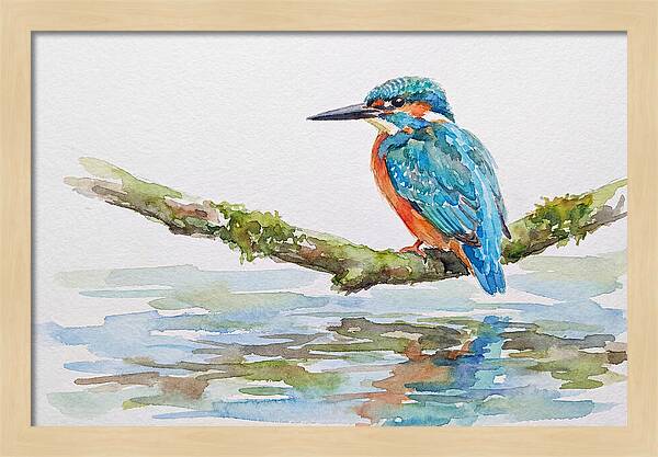 Kingfisher Perched By Water
