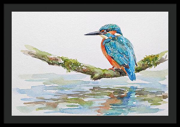 Kingfisher Perched By Water