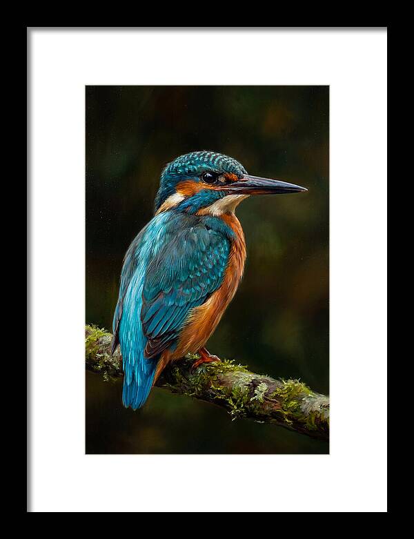 Kingfisher Perched Elegantly