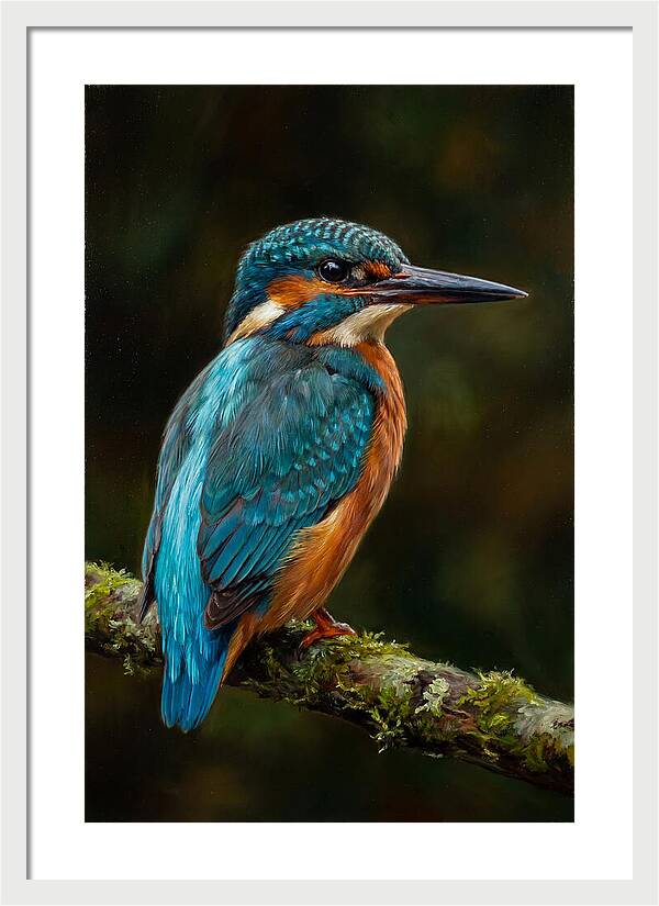 Kingfisher Perched Elegantly