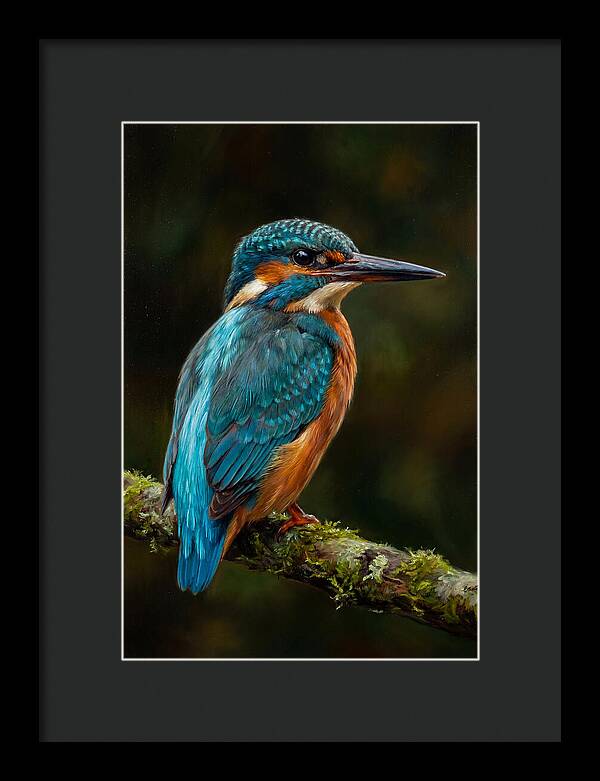 Kingfisher Perched Elegantly