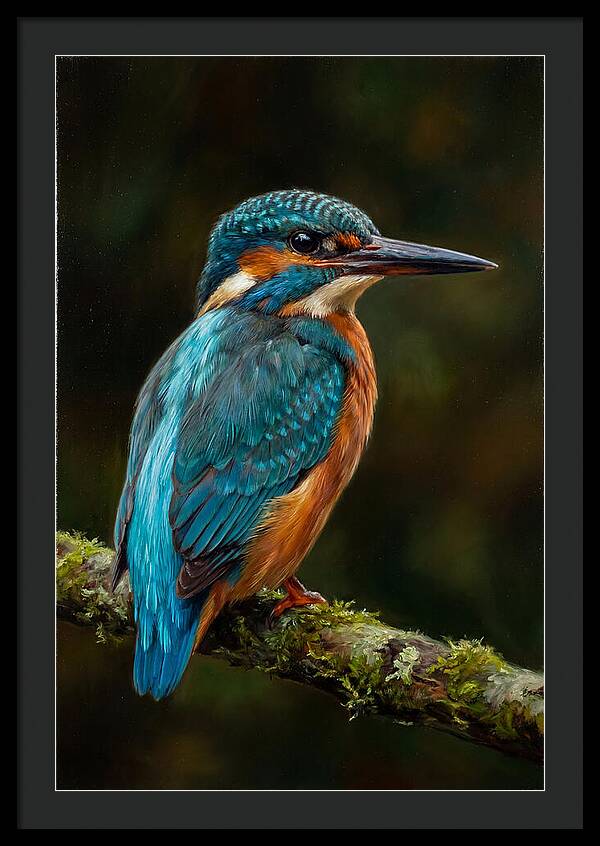 Kingfisher Perched Elegantly