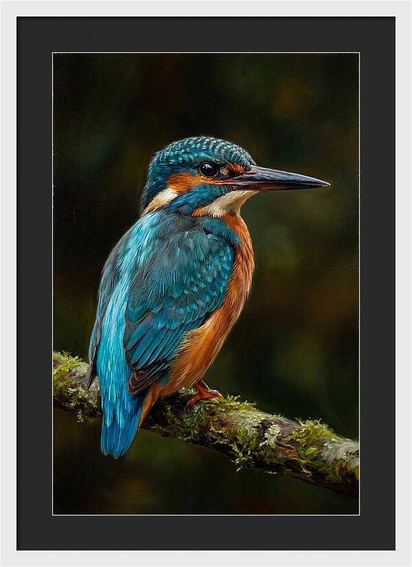 Kingfisher Perched Elegantly