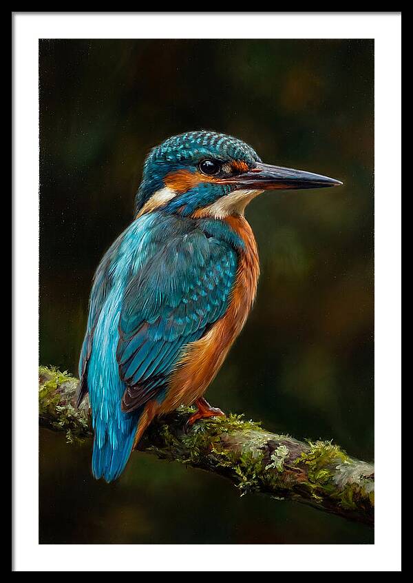 Kingfisher Perched Elegantly