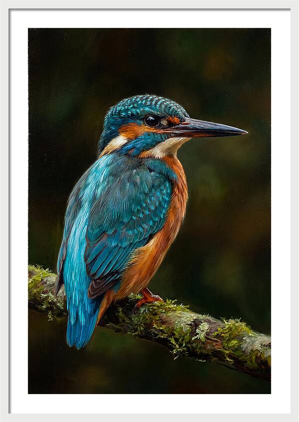 Kingfisher Perched Elegantly