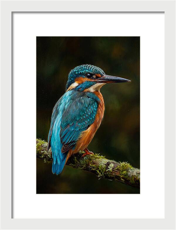 Kingfisher Perched Elegantly