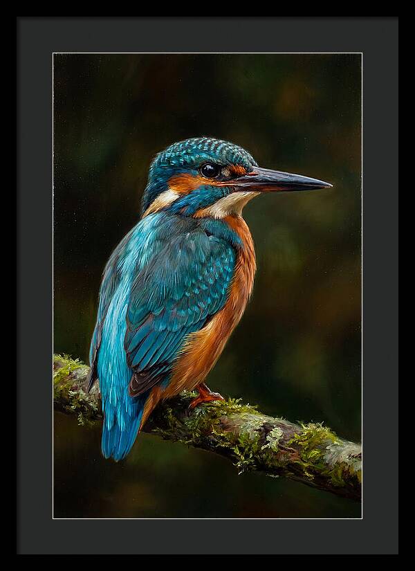 Kingfisher Perched Elegantly