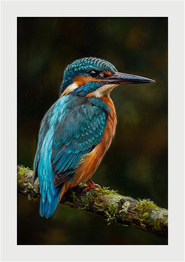 Kingfisher Perched Elegantly