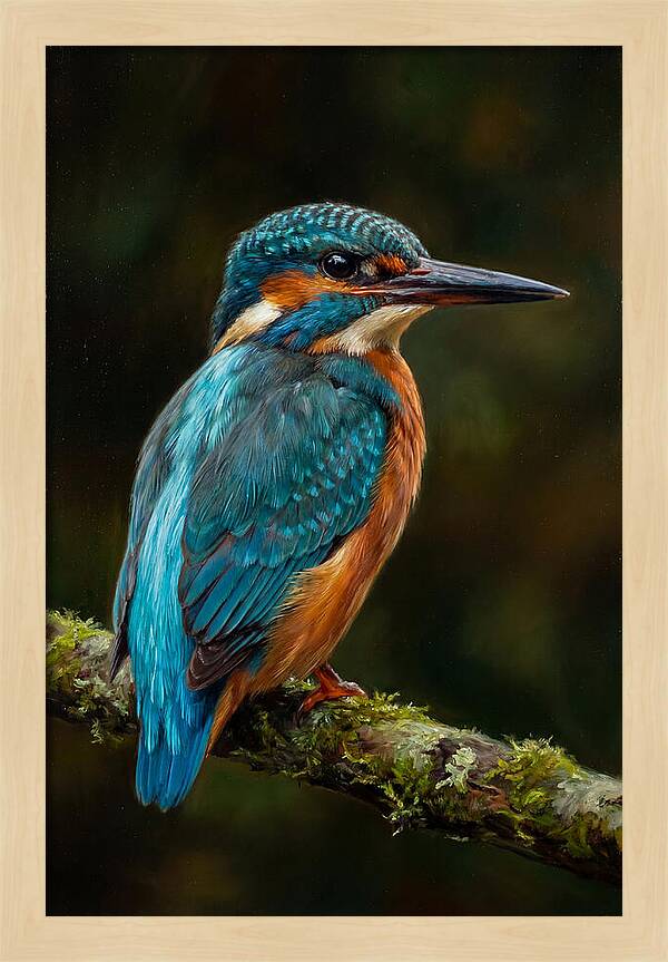 Kingfisher Perched Elegantly