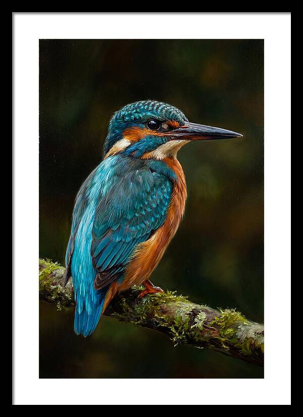 Kingfisher Perched Elegantly