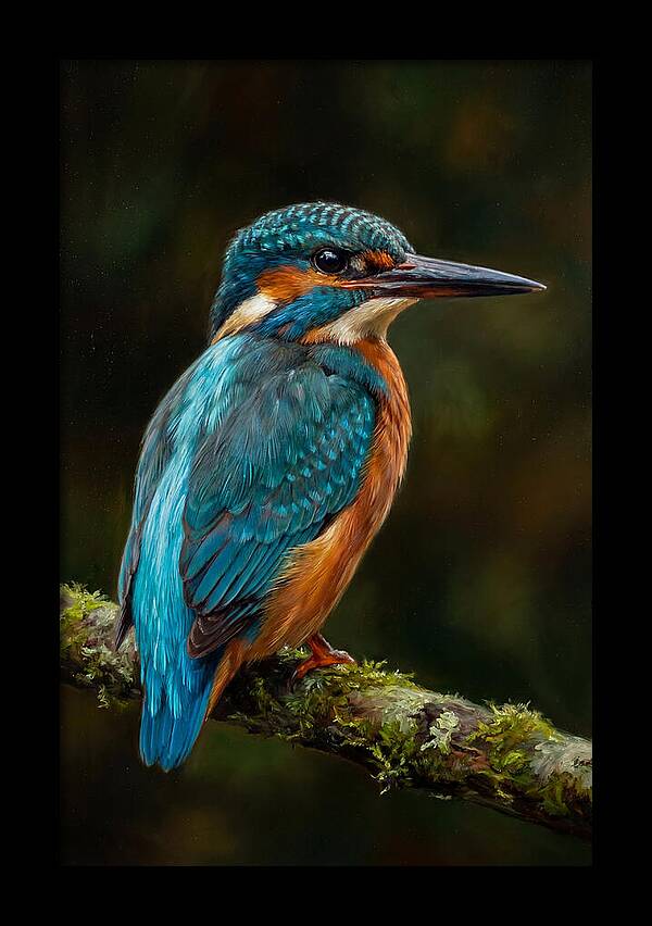 Kingfisher Perched Elegantly