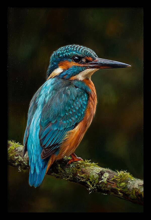 Kingfisher Perched Elegantly