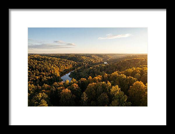 Kisatchie Forest Serenity