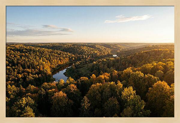 Kisatchie Forest Serenity