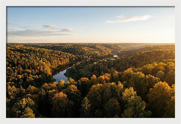 Kisatchie Forest Serenity