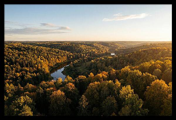 Kisatchie Forest Serenity