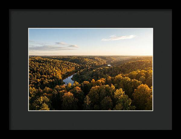 Kisatchie Forest Serenity