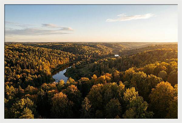 Kisatchie Forest Serenity