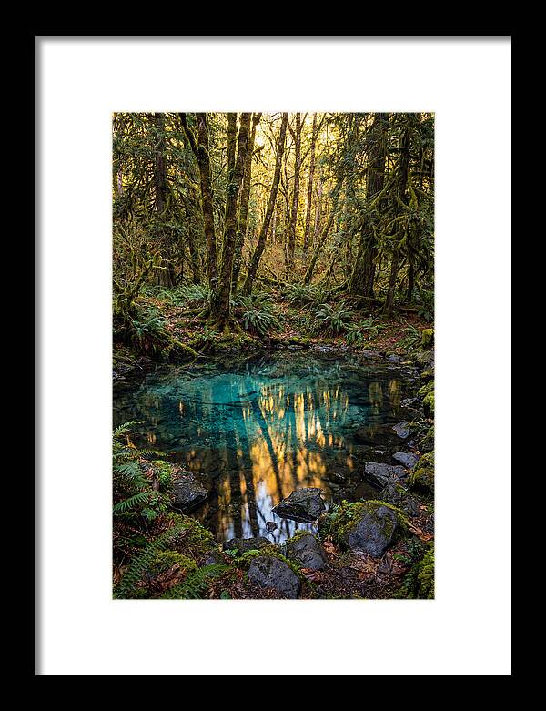 Kitch Iti Kipi Spring Serenity