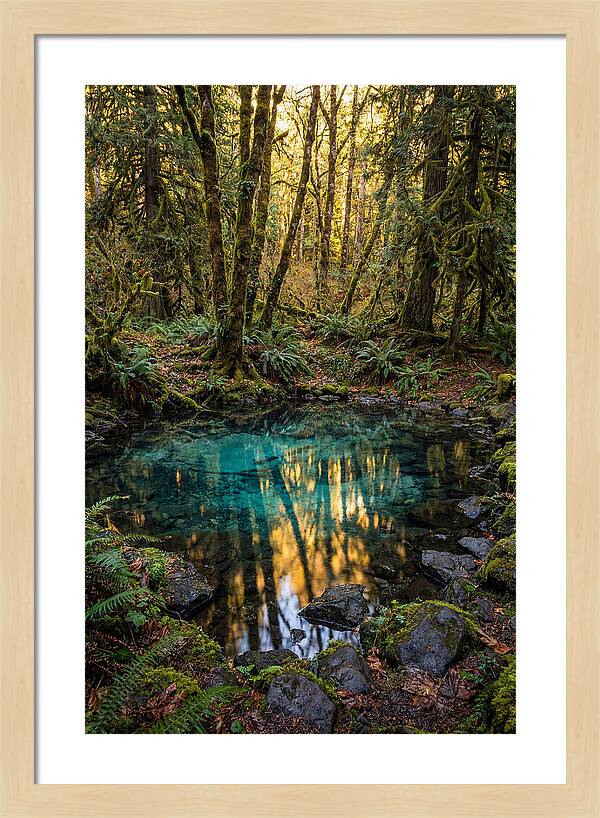 Kitch Iti Kipi Spring Serenity