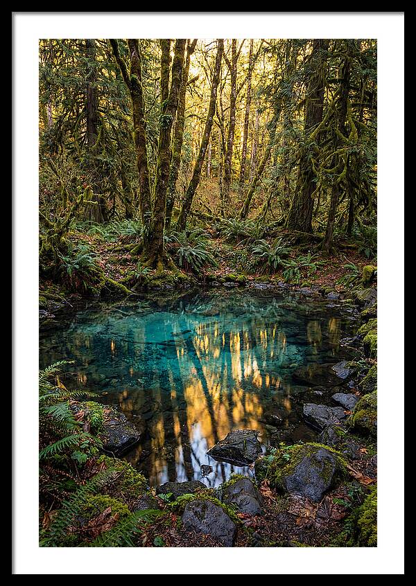 Kitch Iti Kipi Spring Serenity