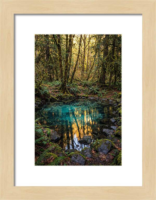 Kitch Iti Kipi Spring Serenity