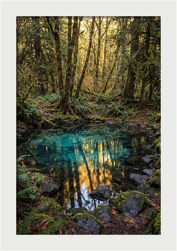 Kitch Iti Kipi Spring Serenity