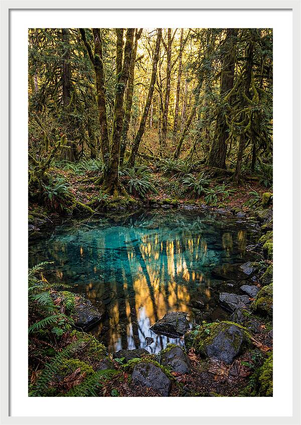 Kitch Iti Kipi Spring Serenity