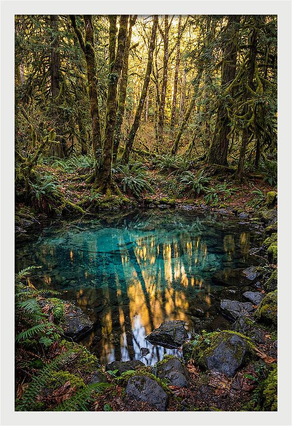 Kitch Iti Kipi Spring Serenity