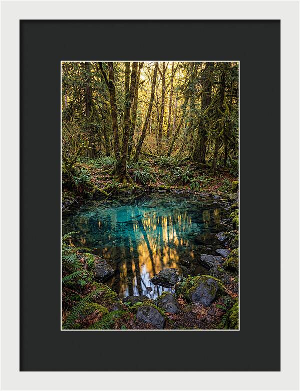 Kitch Iti Kipi Spring Serenity