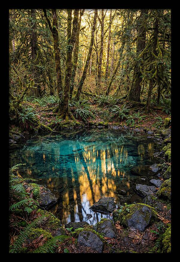 Kitch Iti Kipi Spring Serenity