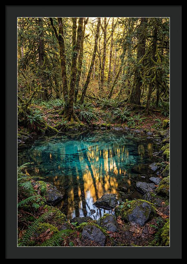 Kitch Iti Kipi Spring Serenity