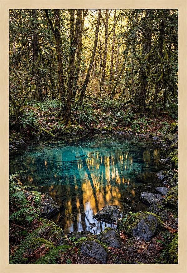 Kitch Iti Kipi Spring Serenity