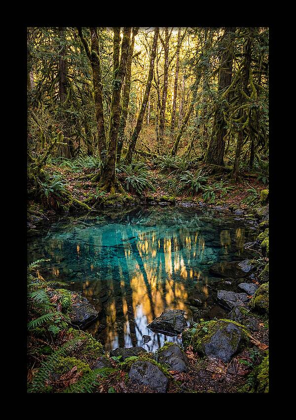 Kitch Iti Kipi Spring Serenity