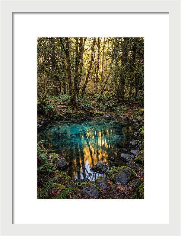 Kitch Iti Kipi Spring Serenity