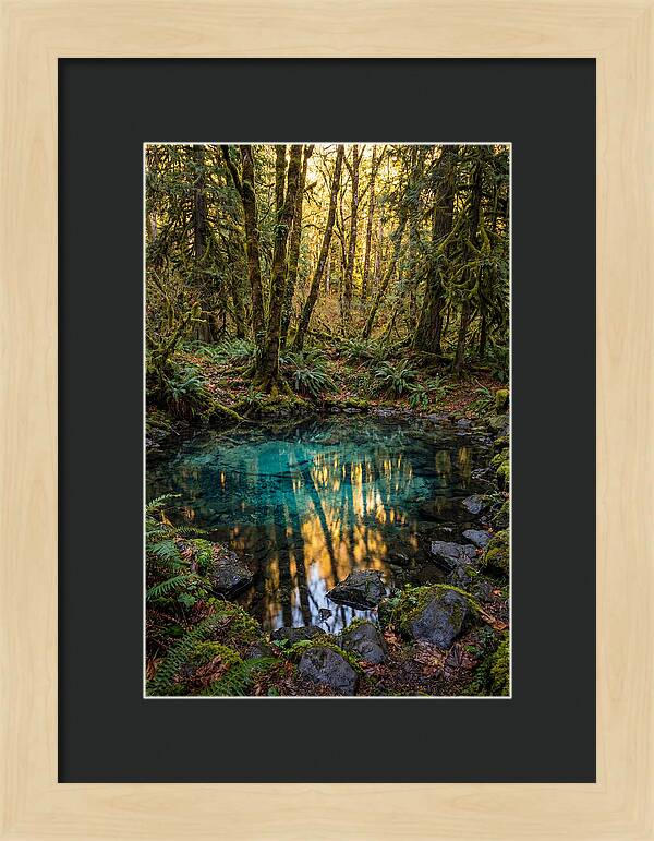 Kitch Iti Kipi Spring Serenity