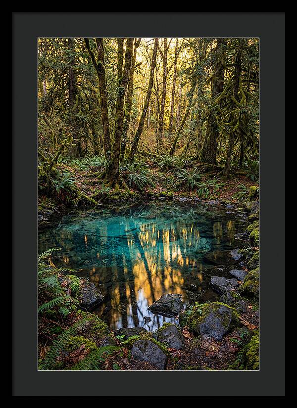 Kitch Iti Kipi Spring Serenity