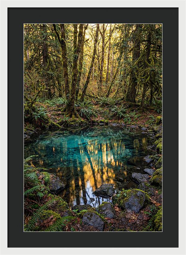 Kitch Iti Kipi Spring Serenity