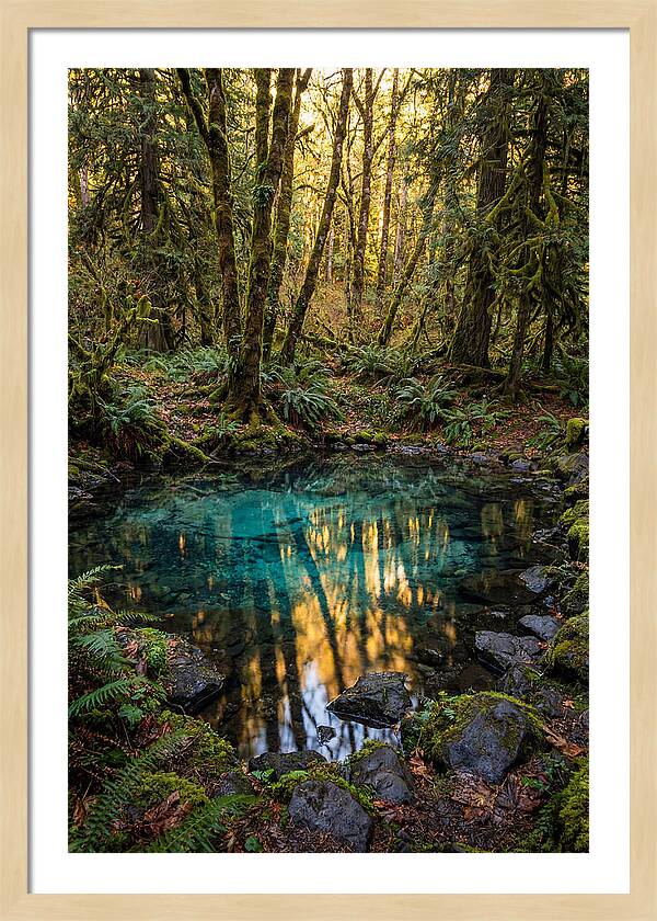 Kitch Iti Kipi Spring Serenity