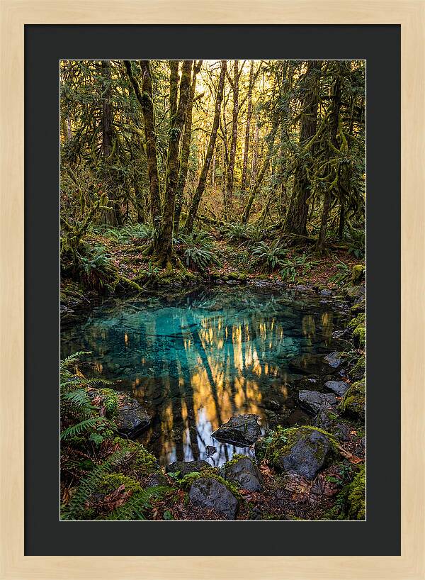 Kitch Iti Kipi Spring Serenity