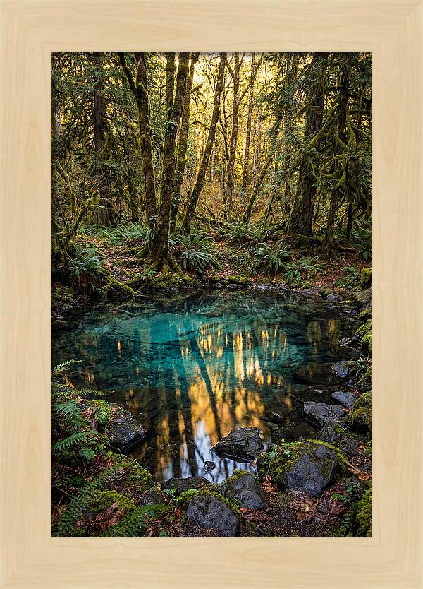 Kitch Iti Kipi Spring Serenity