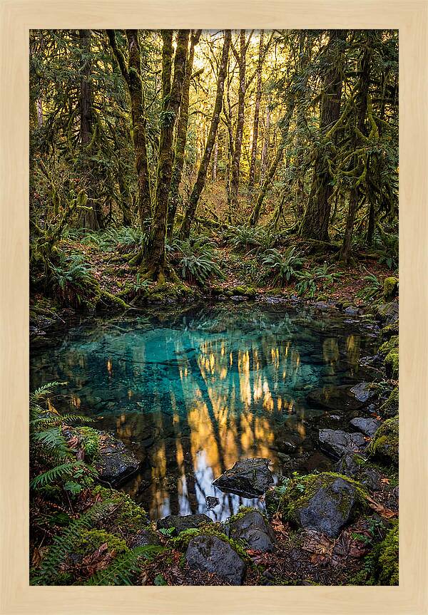 Kitch Iti Kipi Spring Serenity