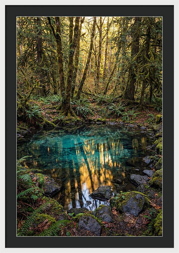 Kitch Iti Kipi Spring Serenity