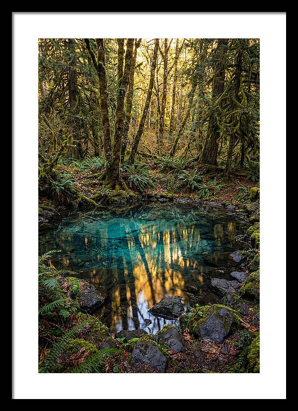 Kitch Iti Kipi Spring Serenity