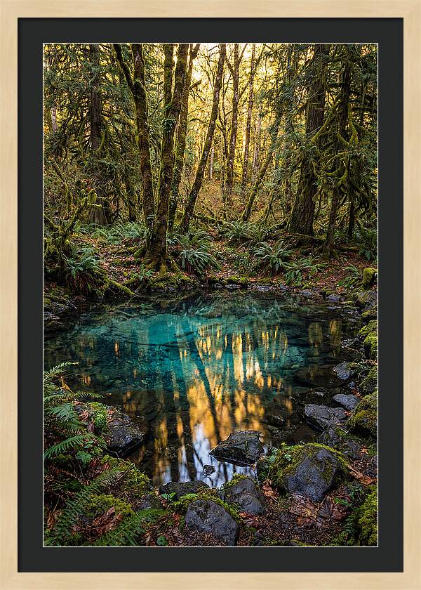 Kitch Iti Kipi Spring Serenity