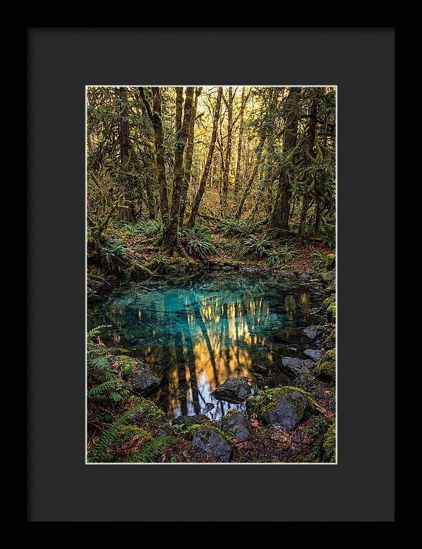 Kitch Iti Kipi Spring Serenity