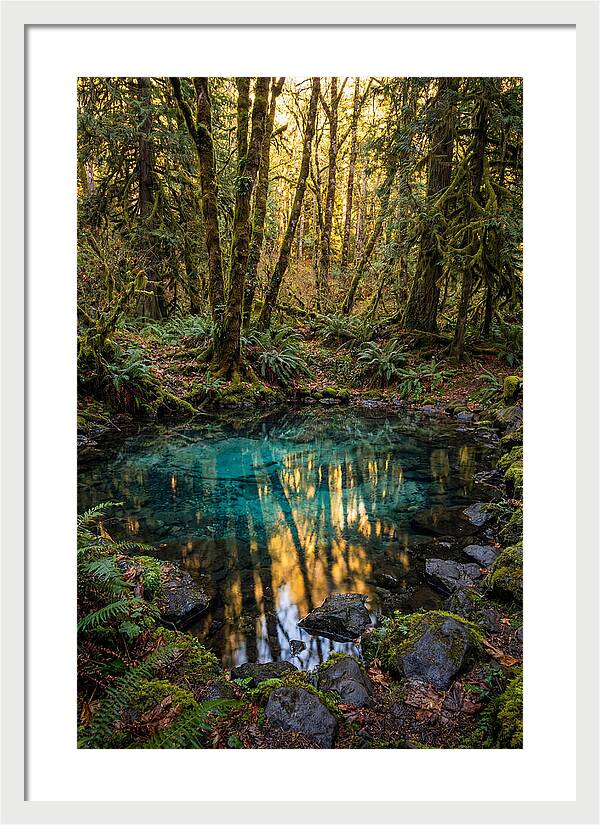 Kitch Iti Kipi Spring Serenity