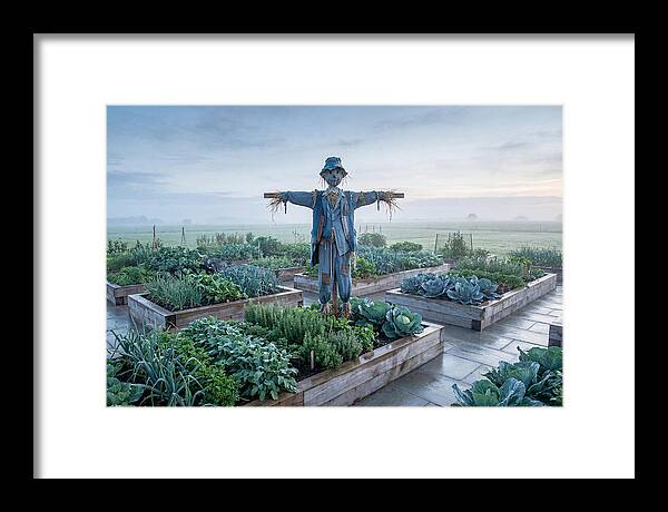 Kitchen Garden Guardian